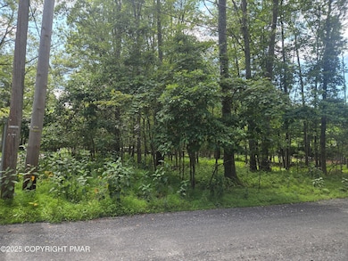 L-30-36 Elmhurst Rd, Middle Smithfield Township, PA 18302 - photo 4