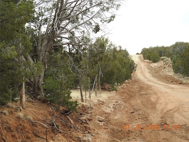 Tract A-1 Cr B29a, Villanueva, NM 87583 - photo 4