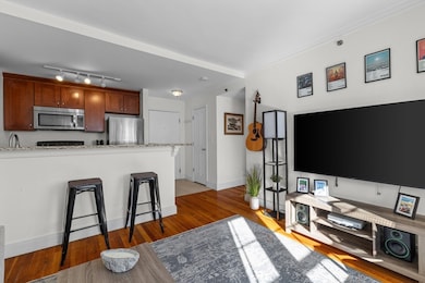 The Charlesview unit 602, Boston, MA 02215 - photo 6