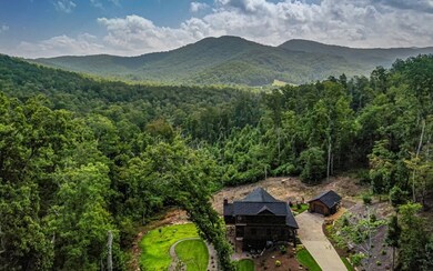 74 Shepherds Trail, Morganton, GA 30560 - photo 2