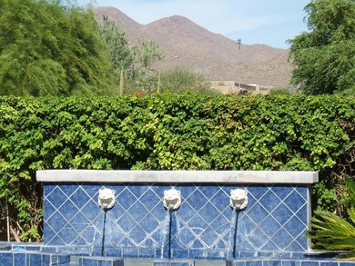 WATER FEATURE