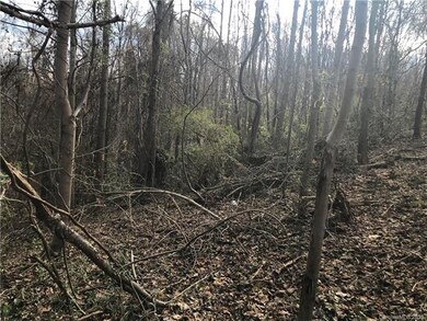 12 Acres Scotts Creek Rd, Statesville, NC 28625 - photo 5