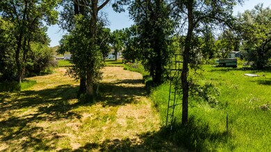 004_dji_20240710122749_0559_d_677