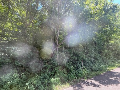 View of tree filled area