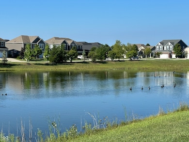 View from the front porch!