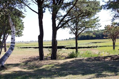 Biddeford Pool Marsh at back of the...