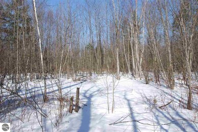 0 Alabaster Rd, Tawas City, MI 48763 - photo 6