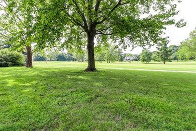 Yard/Garden