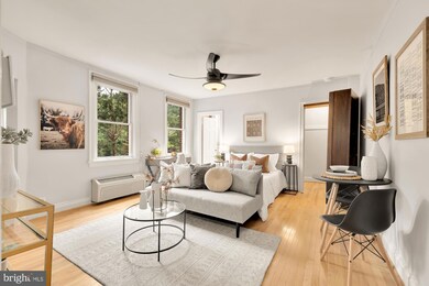 2801 Adams Mill Rd NW unit 408, Washington, DC 20009 - photo 7