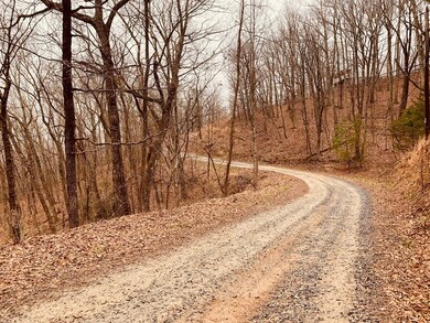 0 Bull Gap Rd unit 120310, Jasper, GA 30143 - photo 4