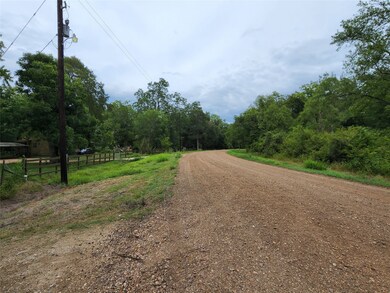 0 Tierra Grande Dr unit 67833413, Needville, TX 77461 - photo 6