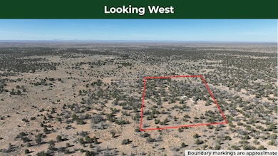 5823 N Cattle Guard Rd, Williams, AZ 86046 - photo 6