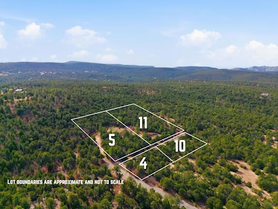 10 Hayner Ct, Tijeras, NM 87059 - photo 5