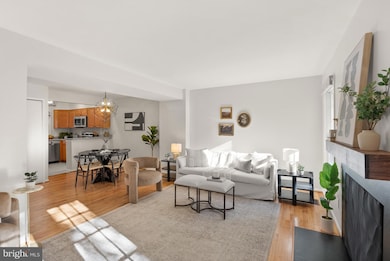 2905 S Woodstock St unit C, Arlington, VA 22206 - photo 4