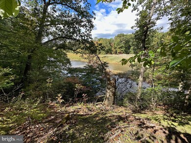 23628 Canvasback Rd, Chestertown, MD 21620 - photo 3