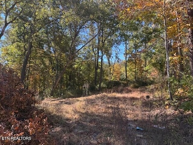 2779 Easy St, Sevierville, TN 37862 - photo 2