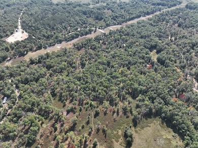 0 Sterling Truck Trail unit 11610290, Sterling, MI 48659 - photo 4