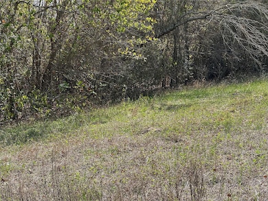 View of local wilderness