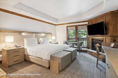 415 E Dean St unit 23B week 11, Aspen, CO 81611 - photo 7