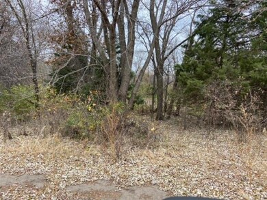 North boundary wooded area with dry pond in backgr