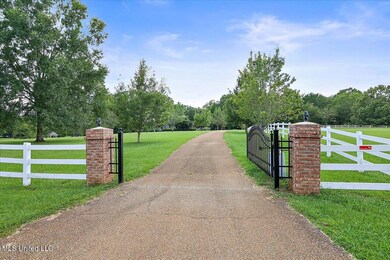 150 Lakeview Rd, Brandon, MS 39047 - photo 4