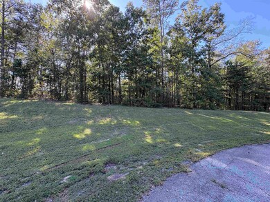 LOT 232 Stoney Point Rd, Double Springs, AL 35553 - photo 4