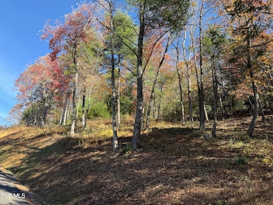 #26 Vineyard Valley Trail, Butler, TN 37640 - photo 6