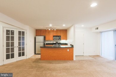 1136 Cove Rd unit 101, Annapolis, MD 21403 - photo 5
