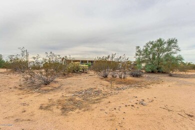Smoketree-04