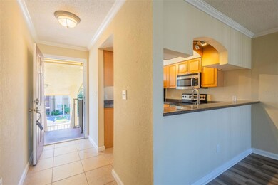 10199 Sailwinds Blvd S unit 203, Largo, FL 33773 - photo 3