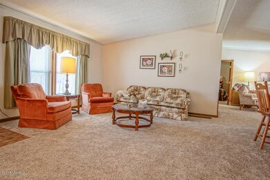 99 W Ridge Cir, Leroy, MI 49655 - photo 7