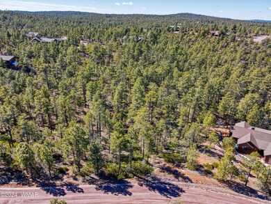 2170 S Pleasant View Dr, Show Low, AZ 85901 - photo 4