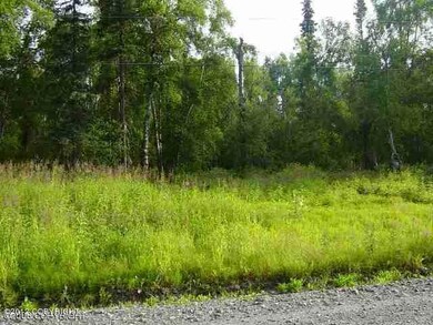 11053 Saunders Rd, Trapper Creek, AK 99683 - photo 3