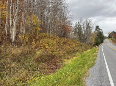0 County Highway 10 unit R1653302, East Meredith, NY 13757 - photo 3