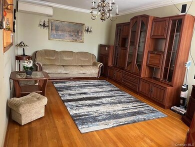 71-22 Calamus Ave, Flushing, NY 11377 - photo 4