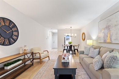 10800 US Highway 19 N unit 203, Pinellas Park, FL 33782 - photo 7