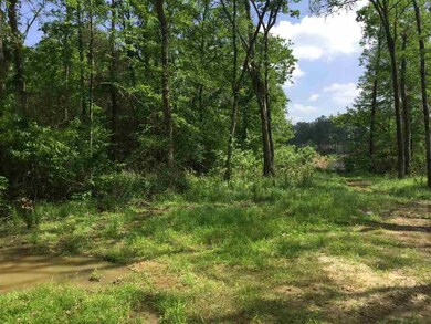 0 Bidon Place unit 33 1295805, Madison, MS 39110 - photo 2