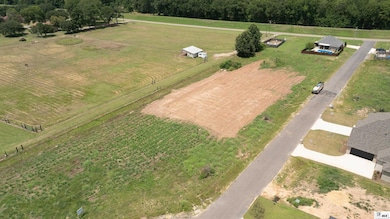 305 River Styx Dr, Monroe, LA 71203 - photo 4