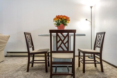 225 Gopher Rd 54 MLS-9 - Copy