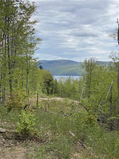 0 Long View Ln unit 3 4809140, Westmore, VT 05860 - photo 3