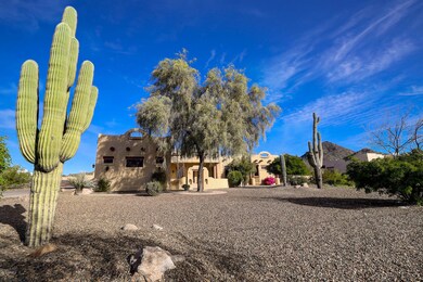 Front Yard 1