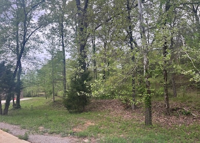 Lot 45 Rosemont Loop, Oxford, MS 38655 - photo 2