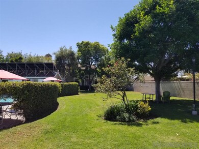 Green area around pool