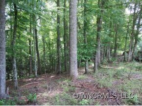 Wooded Ridge