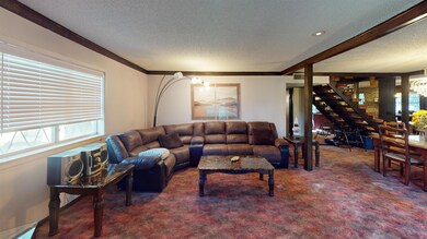 Additional View