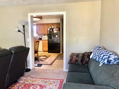 448 W Old Highway 91, Parowan, UT 84761 - photo 5