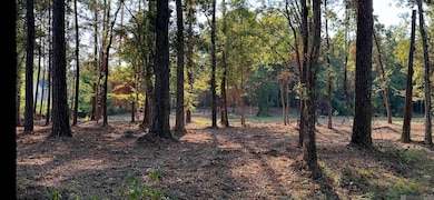 0 Koepp Rd, Madisonville, LA 70447 - photo 6