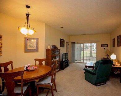 702 Aqua Marine Blvd unit 21, Avon Lake, OH 44012 - photo 5