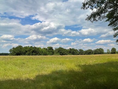 Pasture