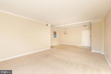10570 Main St unit 424, Fairfax, VA 22030 - photo 5